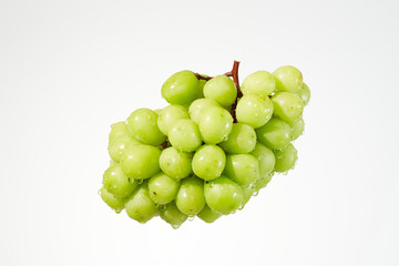 シャインマスカット　シズル感