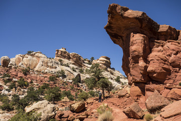 Fototapeta premium Cassidy Arch Trail