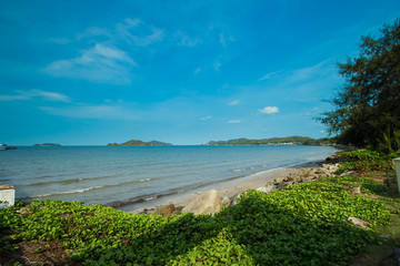 Thailand summer on the beach