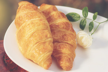 Tasty croissants with spikelets on dish.color tone