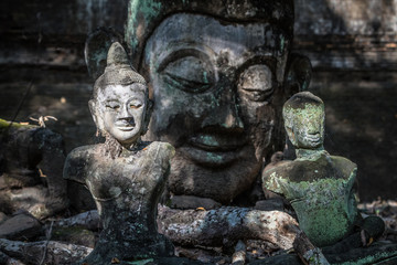Fototapeta na wymiar Ancienne statue bouddhiste, tête de Bouddha, relique et vestige bouddhistes, Wat Umong, Chiang Mai, Thailande