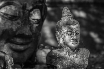 Ancienne statue bouddhiste, t&ecirc;te de Bouddha, relique et vestige bouddhistes, Wat Umong, Chiang Mai, Thailande