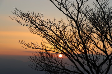 Fototapeta premium 福岡県太宰府市 宝満山頂上からの初日の出
