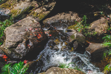 Waterfall