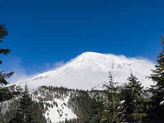 Snowshoe Rainier