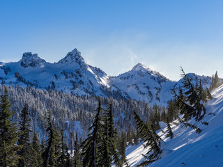 Snowshoe Rainier