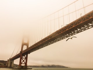 Misty Morning under the Golden Gate Bridge 