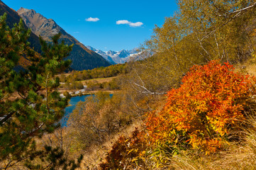 Obraz premium View of the lake Tumanly-Kol, Dombay. _ Вид на озеро Туманлы-Кёль, Домбай.