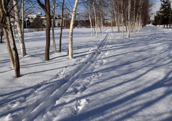 Sapporo snow walking, ski walking trail