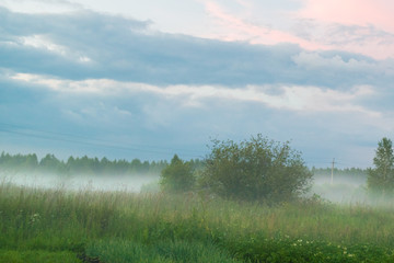 Fog under meadow summer rural landscape Russia