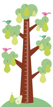 Big tree with green leaves birds and ripe green pears on white background Children height meter wall sticker, kids measure. Vector