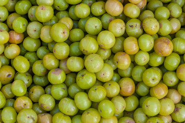 Fresh vegetable background