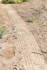 dirt road in nature