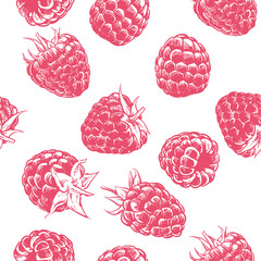 Raspberry pattern on white background, Hand drawn vector