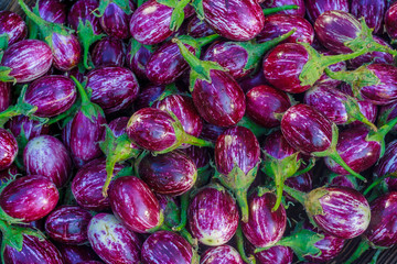 Fototapeta na wymiar Eggplant background