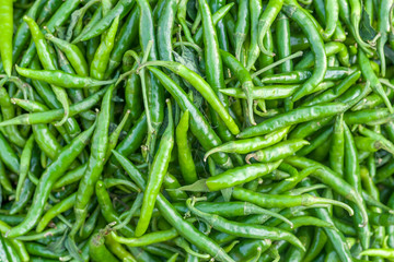 Indian Chilli Background