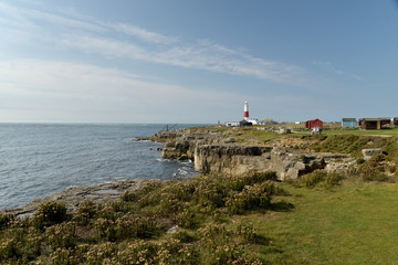 Fototapeta na wymiar Coast path and lighthouse, Portland Bill, Dorset