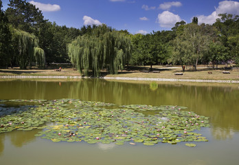 Obraz na płótnie Canvas Naderde park in Debrecen. Hungary