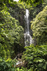 Naklejka na ściany i meble Waterfall at Haleakala National Park, Maui, Hawaii 