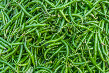 Indian Chilli Background