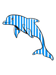 Delfin cute jumping striped