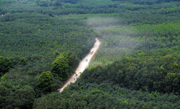 dust road through green  jungle at Vietnam