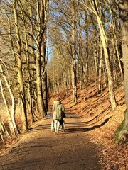 Mädchen schiebt man im Rollstuhl durch den Wald
