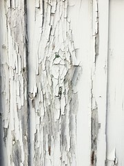 Weiß lackiertes Holz mit abgesplitterter Farbe