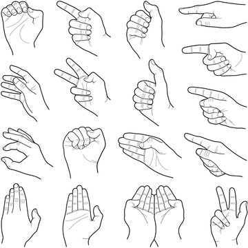 Hand collection - line illustration