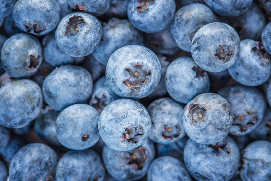 blue background of ripe blueberries, bilberries