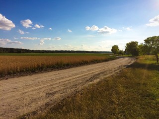 пшеничное поле у грунтовой дороги