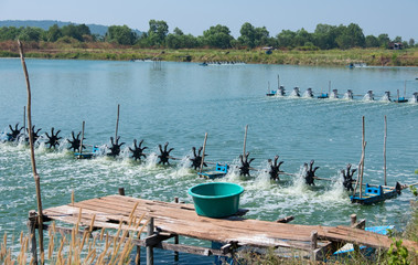 Aerator turbine