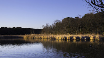 Fototapeta na wymiar paysage french riviera