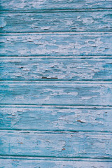 Closeup picture of old wood texture