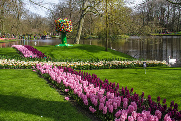 garden flowers lined up in a cross shape