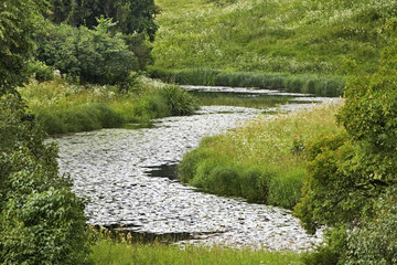 Valley of Slavyanka river in Pavlovsk Palace and Park Ensemble near Saint Petersburg. Russia