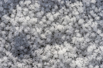 Snow texture