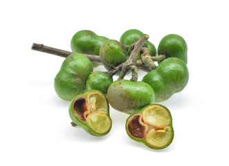 fresh tea seeds isolated on white background