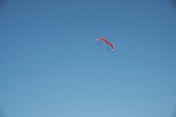 red kite soaring in the blue sky