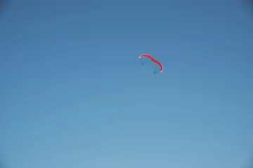 red kite soaring in the blue sky