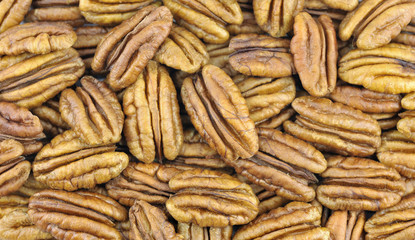 Pecan Nuts