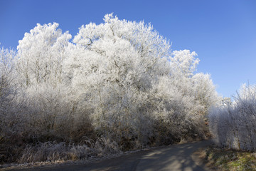 Obraz na płótnie Canvas Beautiful fairytale snowy winter countryside with blue Sky in Central Bohemia, Czech Republic