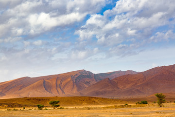 Naklejka na ściany i meble Typical landscape of southern Morocco.