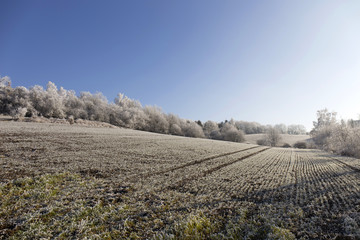 Beautiful fairytale snowy winter countryside with blue Sky in Central Bohemia, Czech Republic