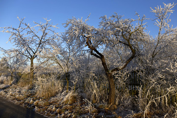 Beautiful fairytale snowy winter countryside with blue Sky in Central Bohemia, Czech Republic