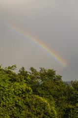 view of a piece of rainbow over a green forest