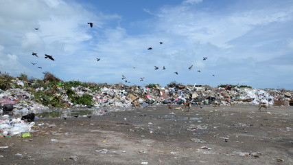 Landfill waste
