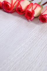 Róże dla romantycznych - obrazy, fototapety, plakaty