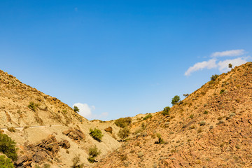 Typical landscape of southern Morocco.
