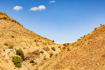 Typical landscape of southern Morocco.